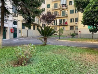 PIGNETO -Via Prenestina