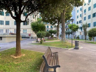 PIGNETO -Via Prenestina