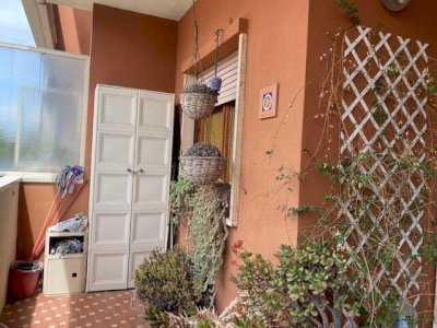 VIA MARINO GHETALDI - EUR Cecchignola - quartiere Giuliano Dalmata