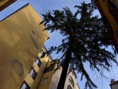 TERMINI BLUE STUDIO WITH OUTDOOR PATIO - near Metro and Station