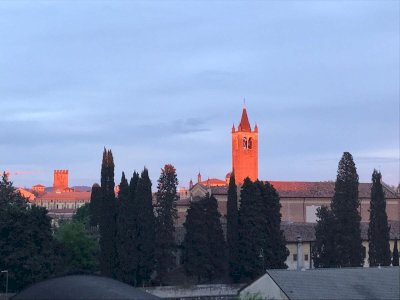 Cosy and bright 1 bedroom apartment with nice view